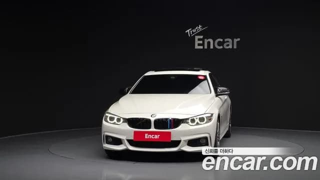 2017 BMW 4Series (F32) 428i M Sport Coupe Sold VIN WBA3N710XHF786255 – exterior detail 2017 BMW 4Series (F32) 428i M Sport Coupe Sold VIN WBA3N710XHF786255 – exterior detail
