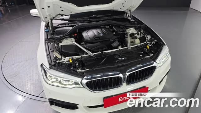 2020 BMW 5Series (G30) 520d xDrive M Sport Package Plus Sold VIN WBAJF5107LWW54491 – photo 14 2020 BMW 5Series (G30) 520d xDrive M Sport Package Plus Sold VIN WBAJF5107LWW54491 – photo 14