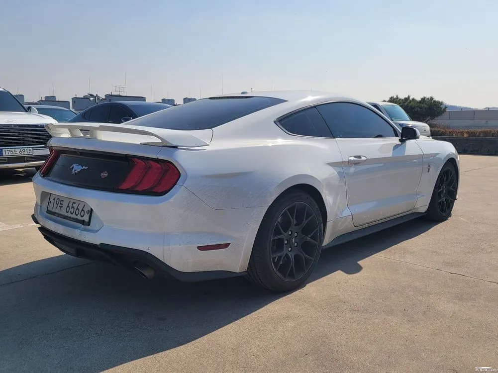 2019 Ford Mustang Coupe Sold VIN 1FA6P8TH7K5165660 – dashboard