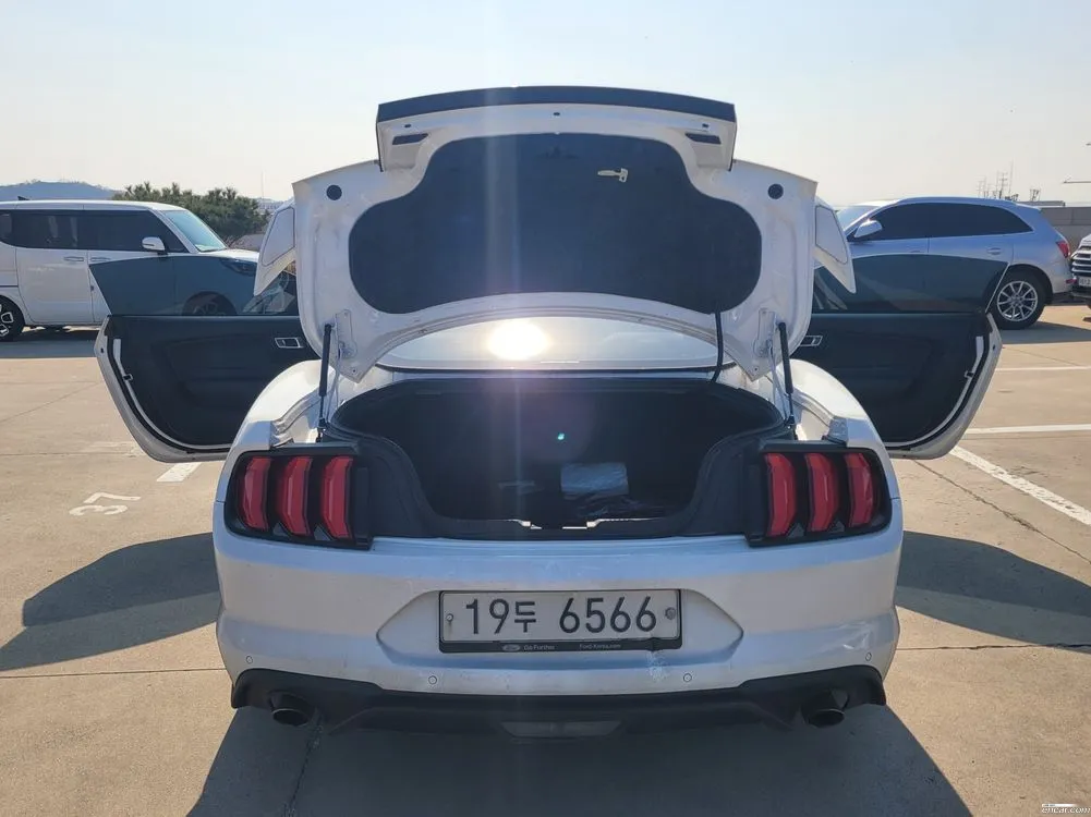 2019 Ford Mustang Coupe Sold VIN 1FA6P8TH7K5165660 – trunk area