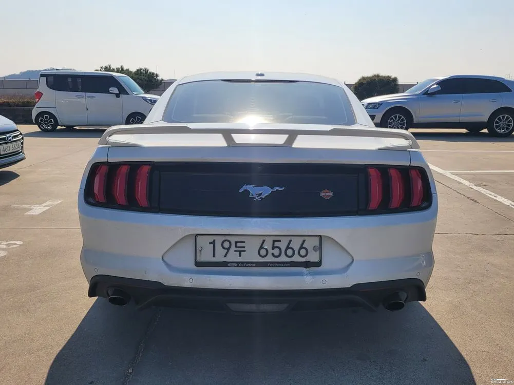2019 Ford Mustang Coupe Sold VIN 1FA6P8TH7K5165660 – engine bay