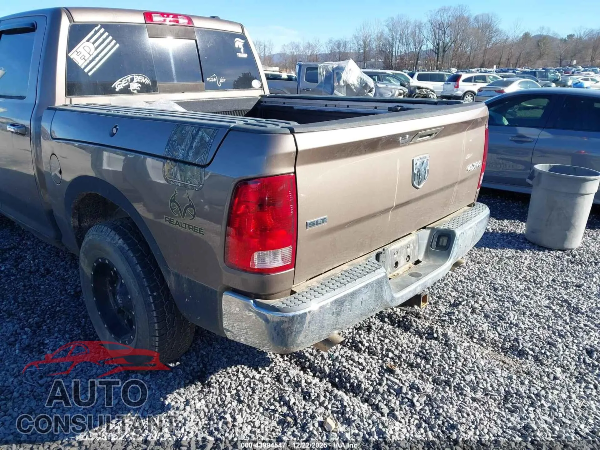 2009 DODGE RAM 1500 Damaged VIN 1D3HV13T09J527017 – side profile 2009 DODGE RAM 1500 Damaged VIN 1D3HV13T09J527017 – side profile
