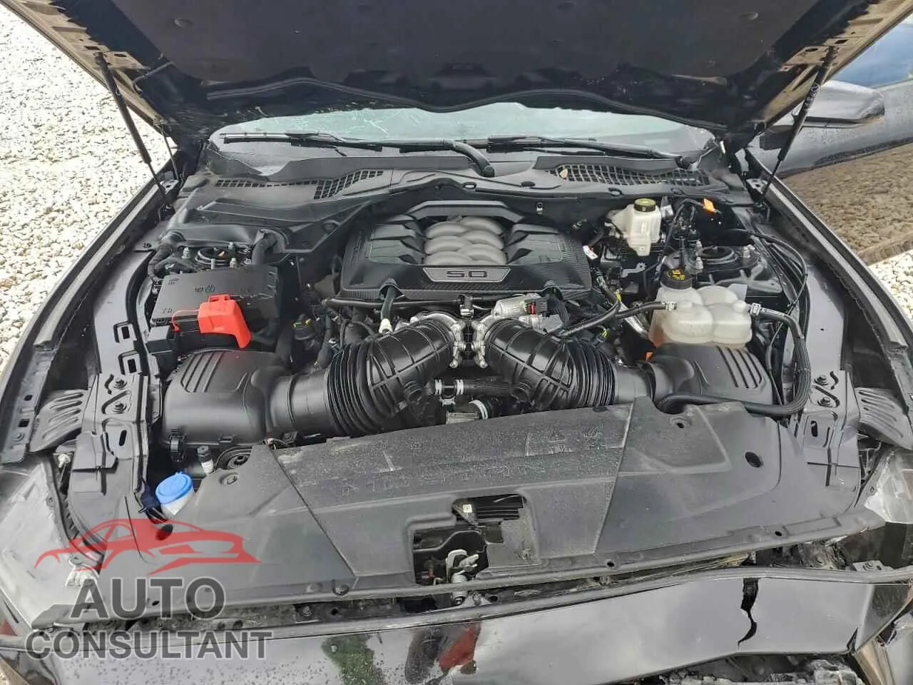 2024 FORD MUSTANG Damaged VIN 1FA6P8CF1R5422515 – photo 11