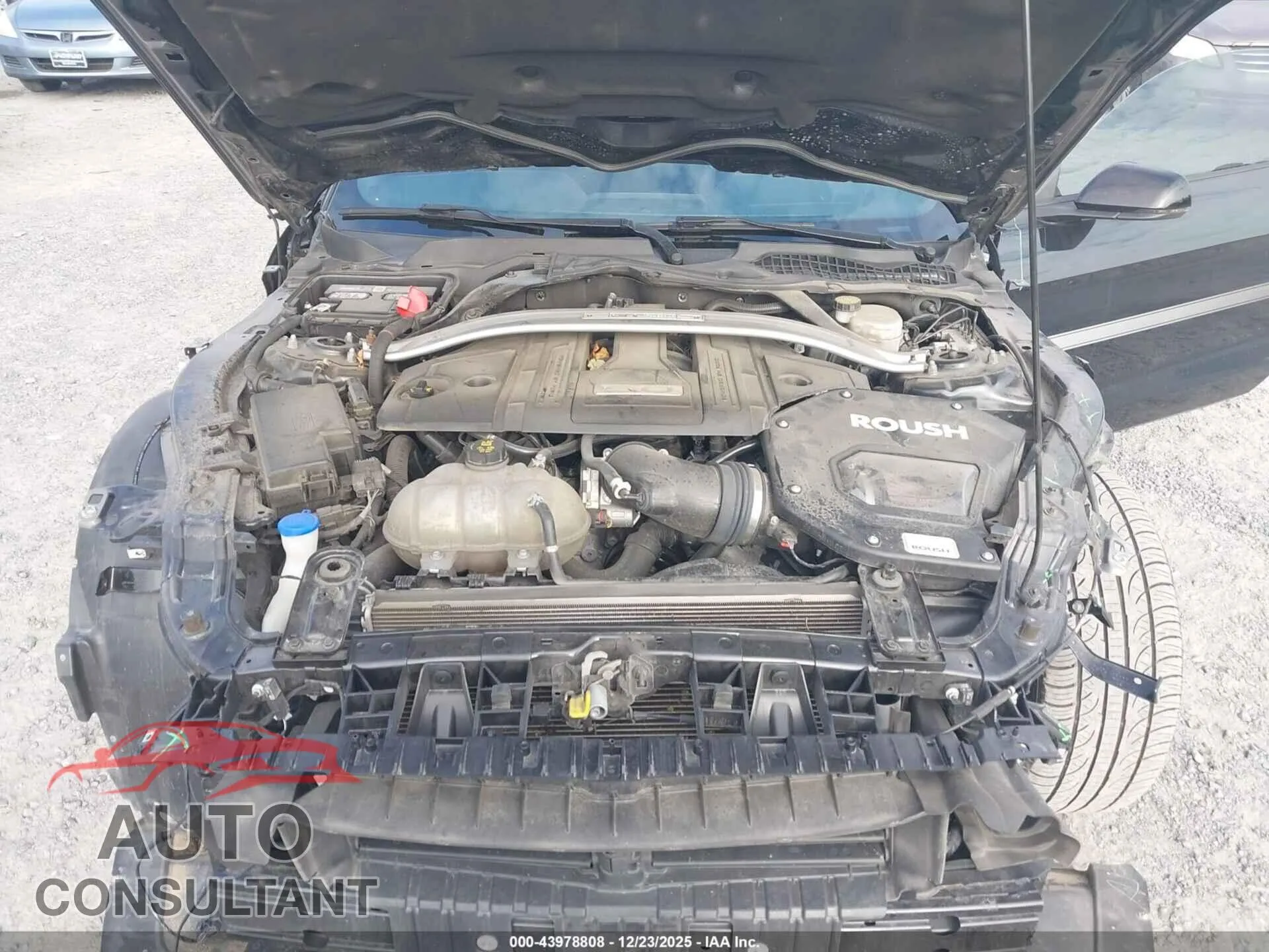 2021 FORD MUSTANG Damaged VIN 1FA6P8CF8M5104531 – odometer reading