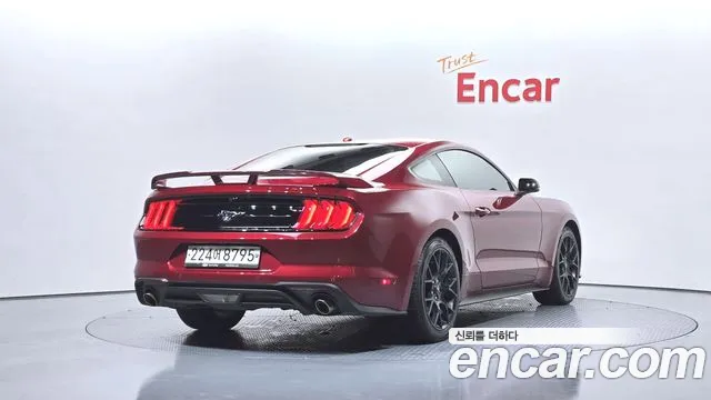 2019 Ford Mustang Coupe VIN 1FA6P8TH0K5193767