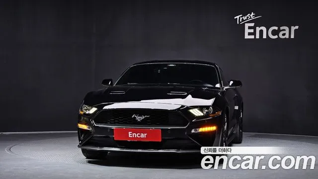 2019 Ford Mustang Coupe Sold VIN 1FA6P8TH5K5190699 – rear exterior 2019 Ford Mustang Coupe Sold VIN 1FA6P8TH5K5190699 – rear exterior