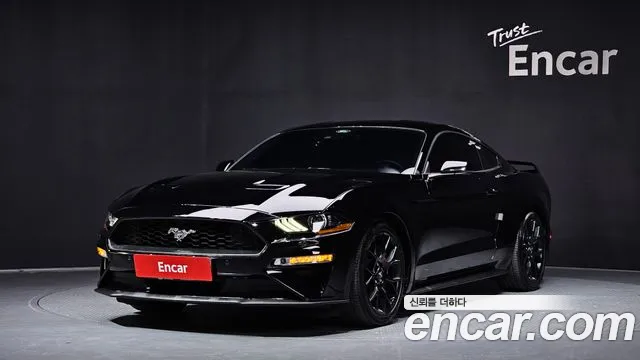 2019 Ford Mustang Coupe Sold VIN 1FA6P8TH5K5190699 – undercarriage 2019 Ford Mustang Coupe Sold VIN 1FA6P8TH5K5190699 – undercarriage