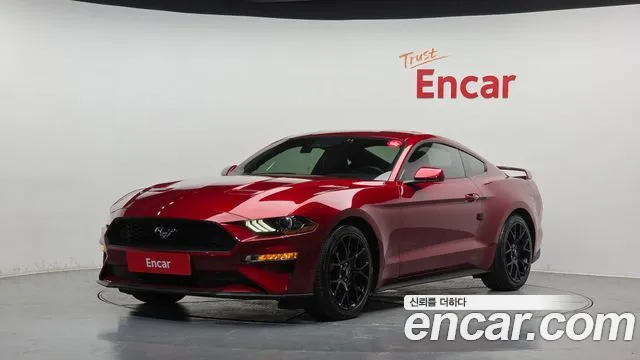 2019 Ford Mustang Coupe Sold VIN 1FA6P8TH6K5128132 – front exterior 2019 Ford Mustang Coupe Sold VIN 1FA6P8TH6K5128132 – front exterior