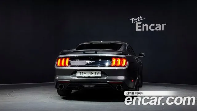 2019 Ford Mustang Coupe VIN 1FA6P8TH9K5126391