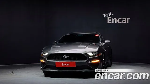 2019 Ford Mustang Coupe Sold VIN 1FA6P8TH9K5126391 – side profile 2019 Ford Mustang Coupe Sold VIN 1FA6P8TH9K5126391 – side profile