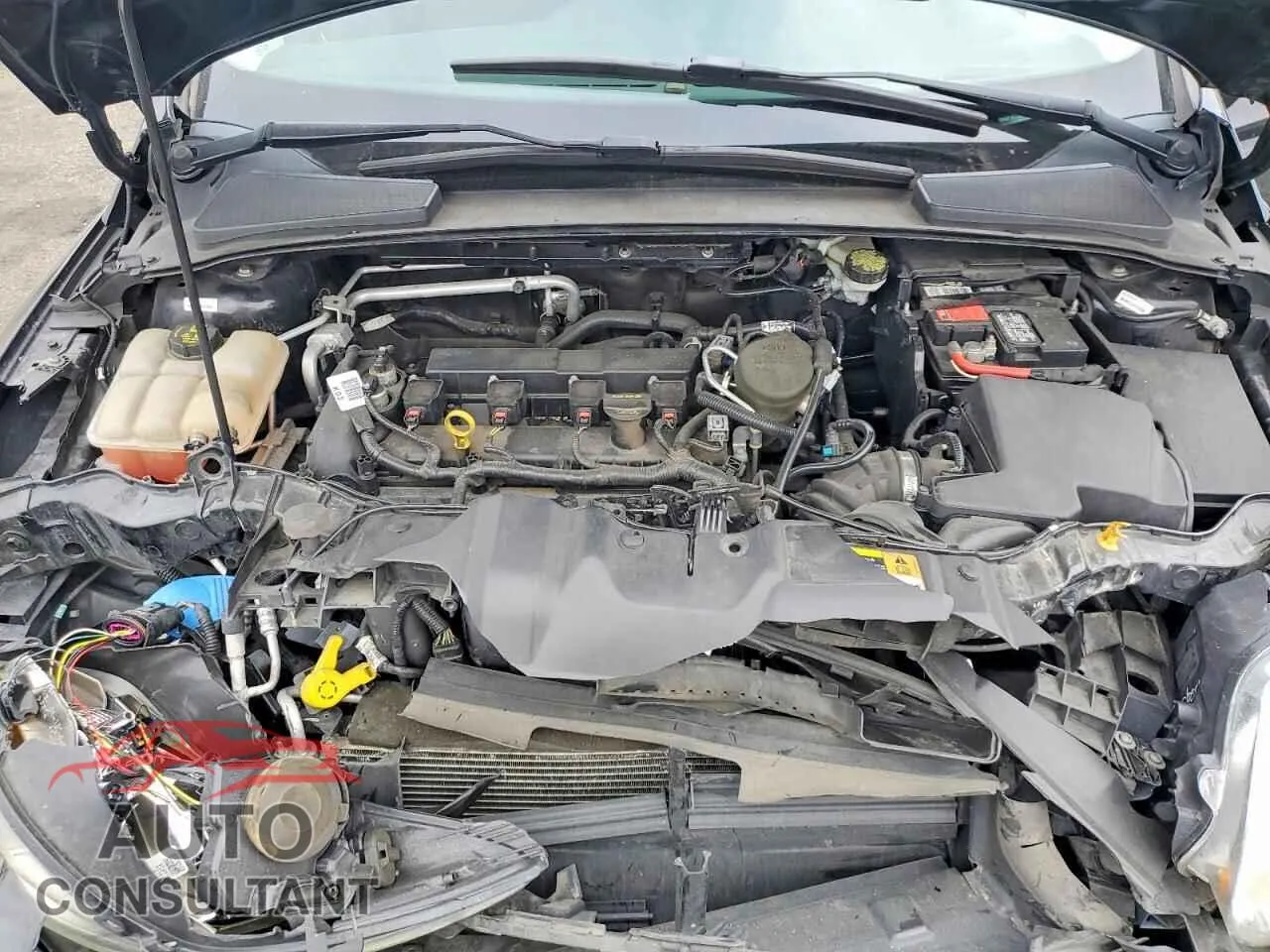 2014 FORD FOCUS Damaged VIN 1FADP3F21EL123390 – photo 11