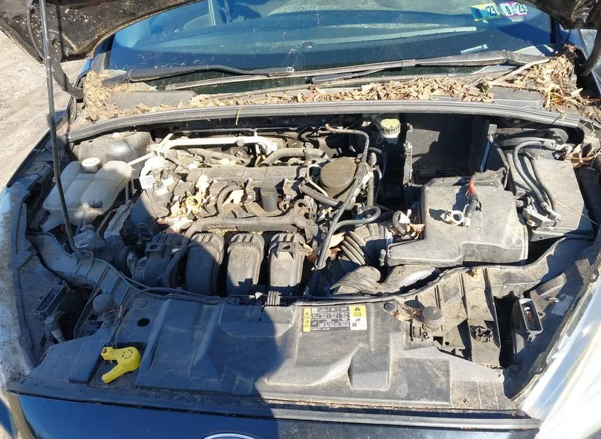 2016 FORD Focus Used VIN 1FADP3F26GL239493 – trunk area