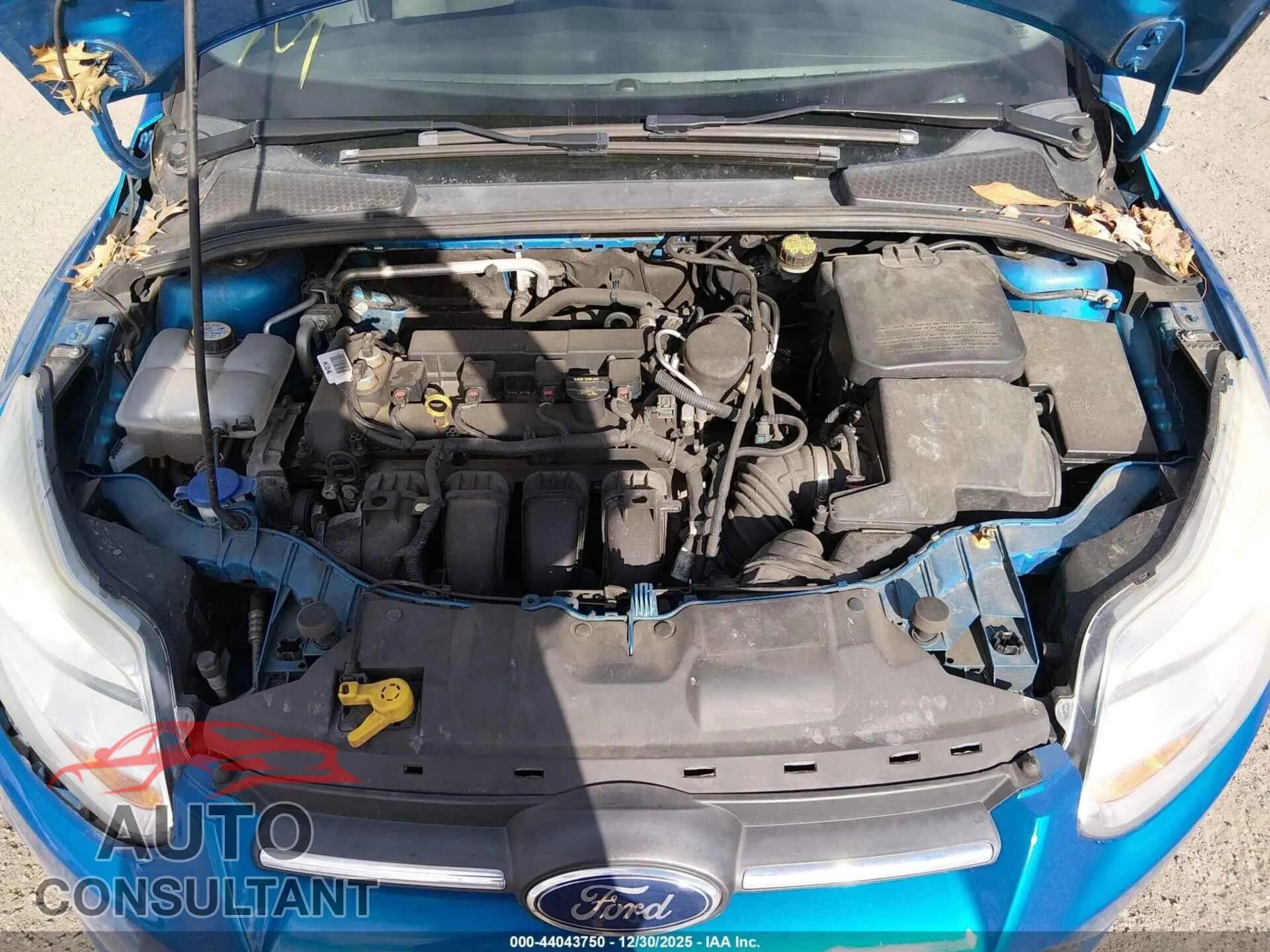 2014 FORD FOCUS Damaged VIN 1FADP3K2XEL339339 – odometer reading