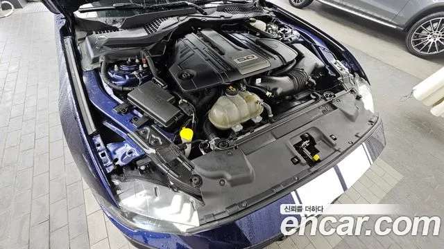 2019 Ford Mustang GT Convertible Sold VIN 1FATP8FF6K5190627 – rear exterior