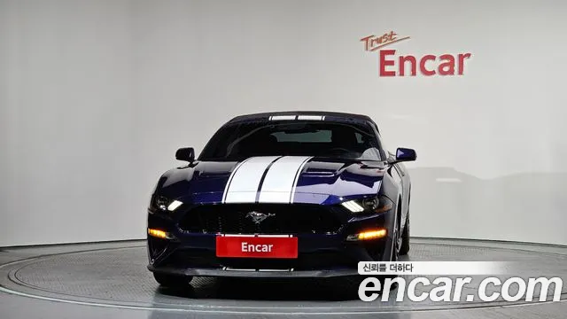 2019 Ford Mustang GT Convertible Sold VIN 1FATP8FF6K5190627 – trunk area