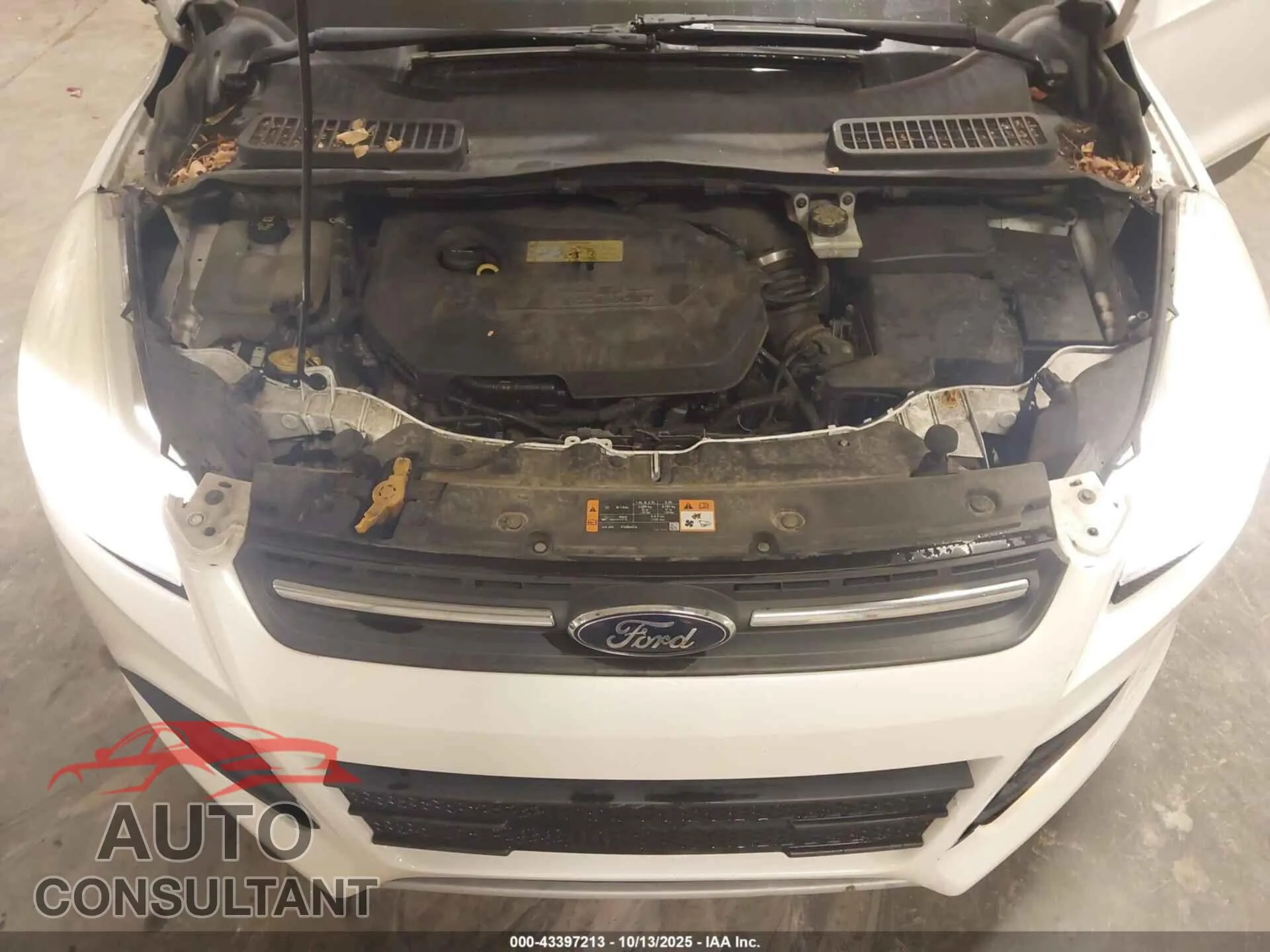 2014 FORD ESCAPE Damaged VIN 1FMCU0GX8EUB70705 – odometer reading