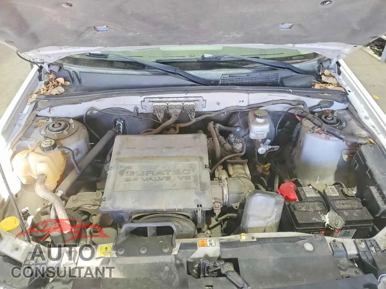 2009 FORD ESCAPE Damaged VIN 1FMCU93GX9KC35050 – photo 12