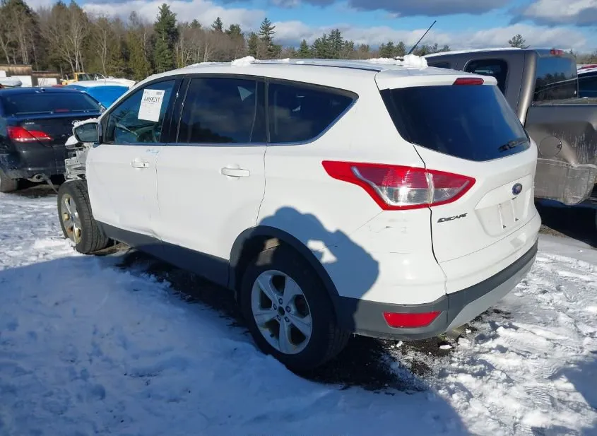 2015 FORD Escape Used VIN 1FMCU9GX6FUA96772 – rear exterior
