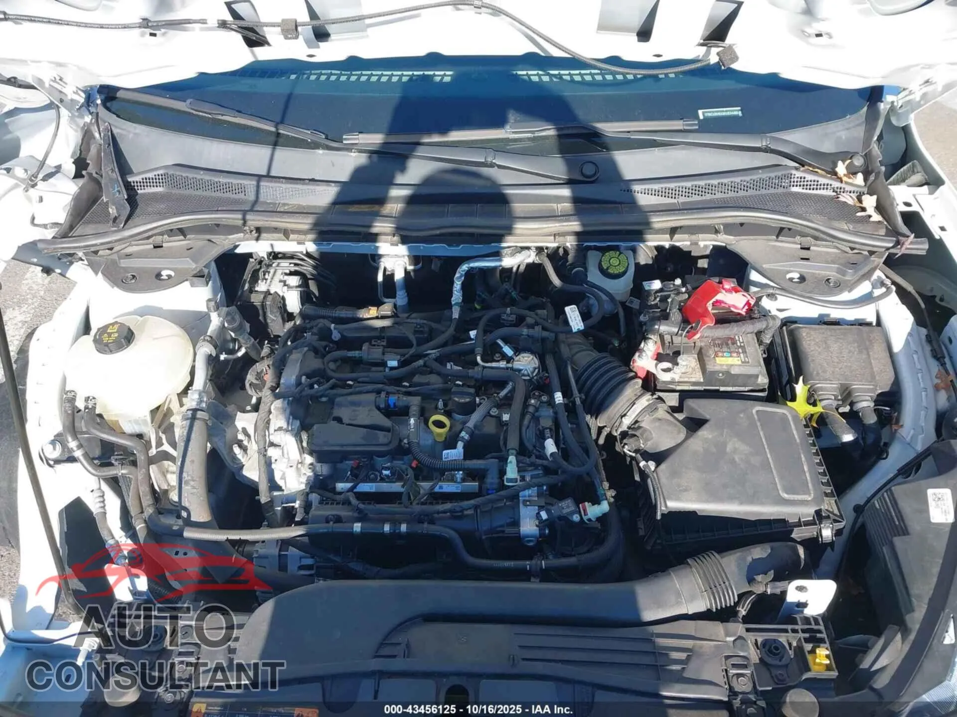 2021 FORD ESCAPE Damaged VIN 1FMCU9H6XMUB34460 – odometer reading