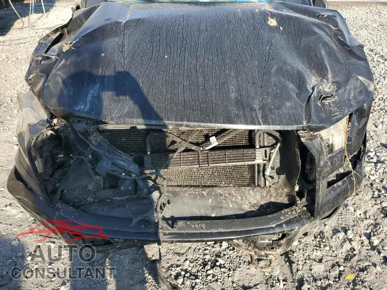 2016 FORD F-150 Damaged VIN 1FTEX1EPXGFB36429 – photo 11