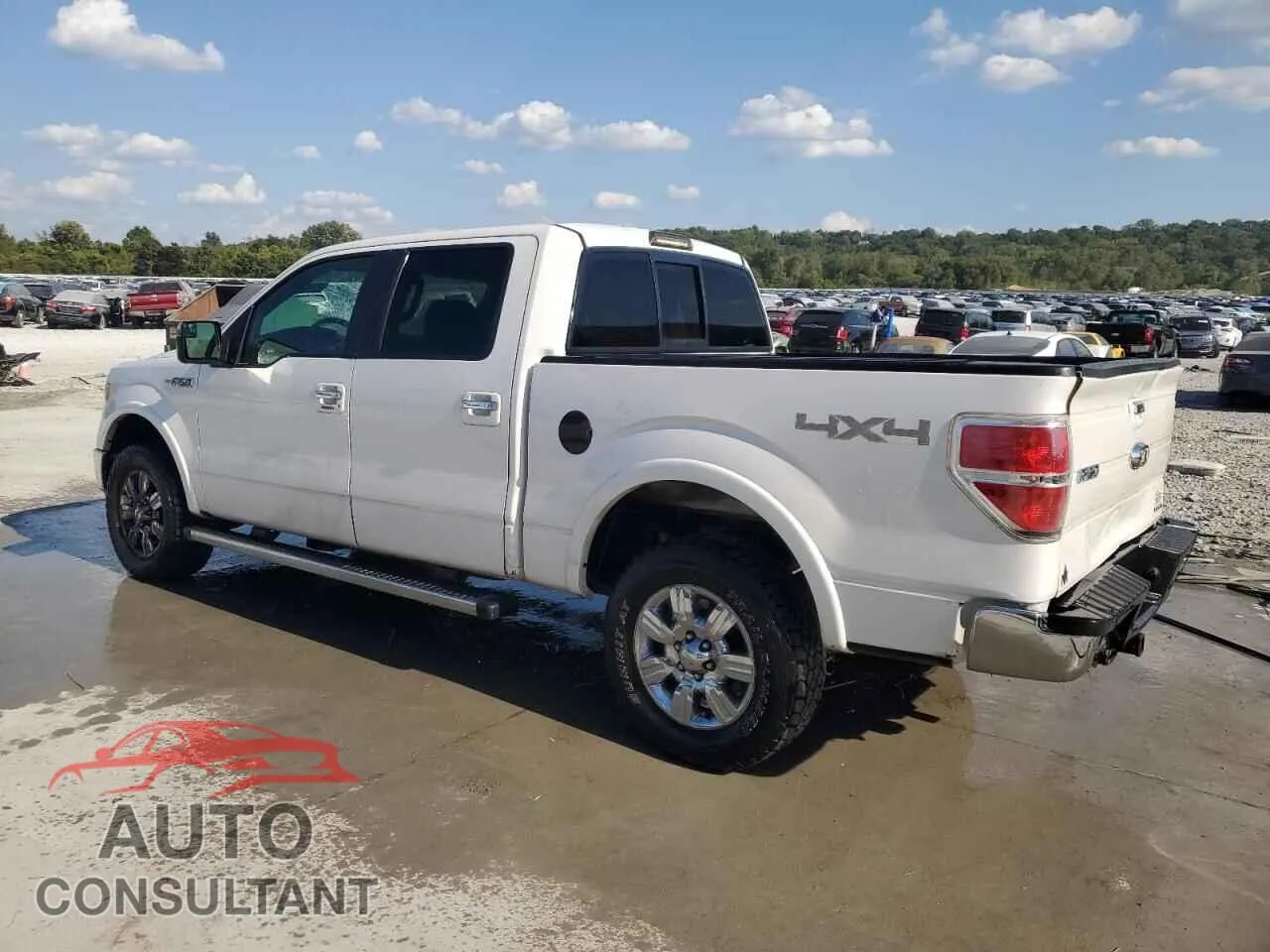 2011 FORD F-150 Damaged VIN 1FTFW1EF1BFC58541 – rear exterior