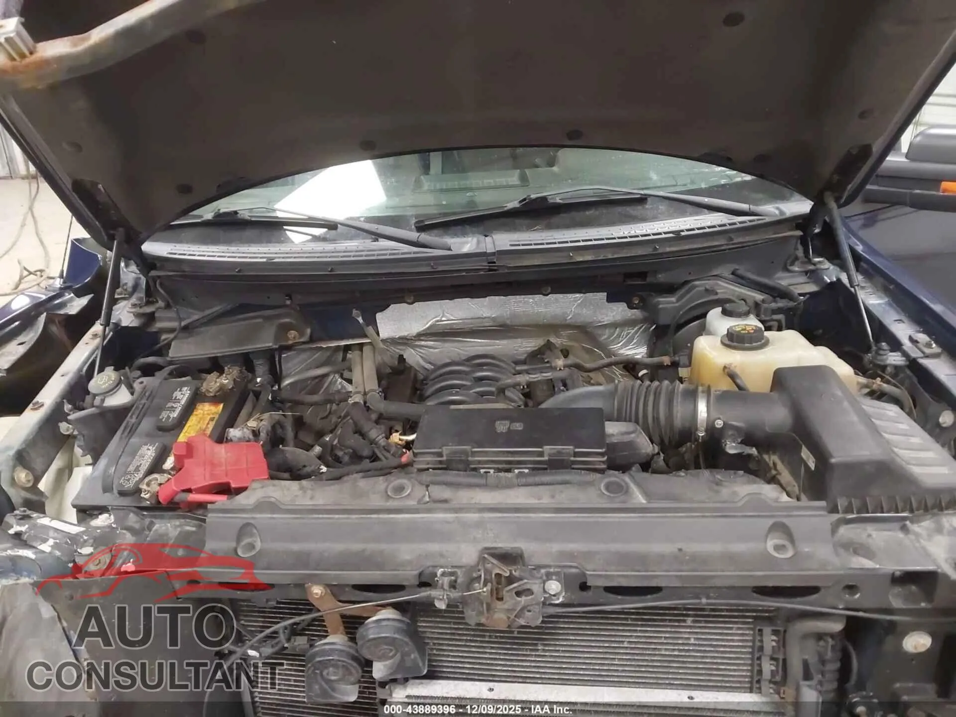 2012 FORD F-150 Damaged VIN 1FTFW1EF1CFA33313 – odometer reading