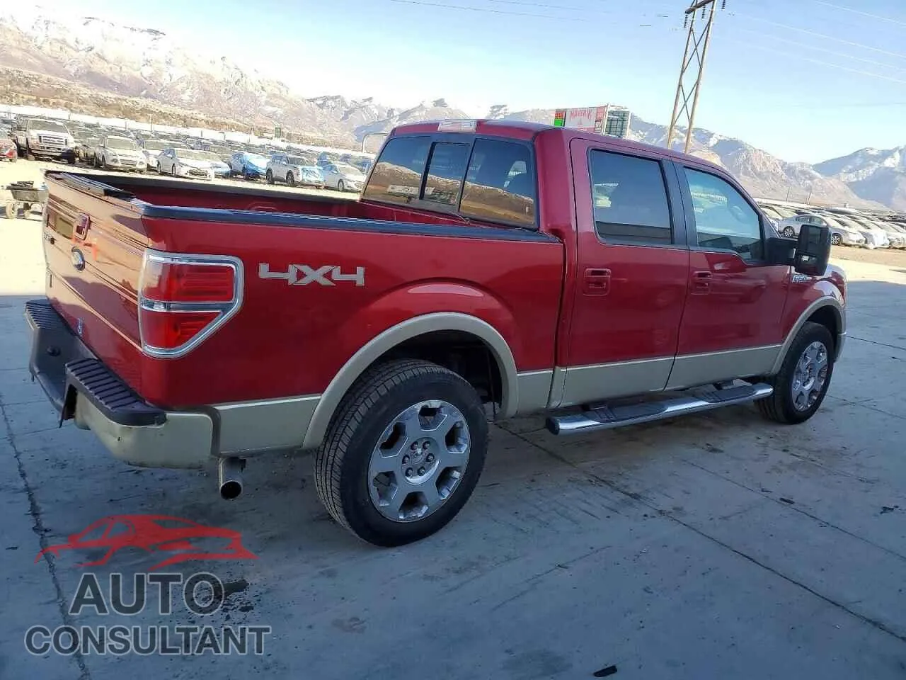 2009 FORD F-150 Damaged VIN 1FTPW14VX9FA76795 – side profile