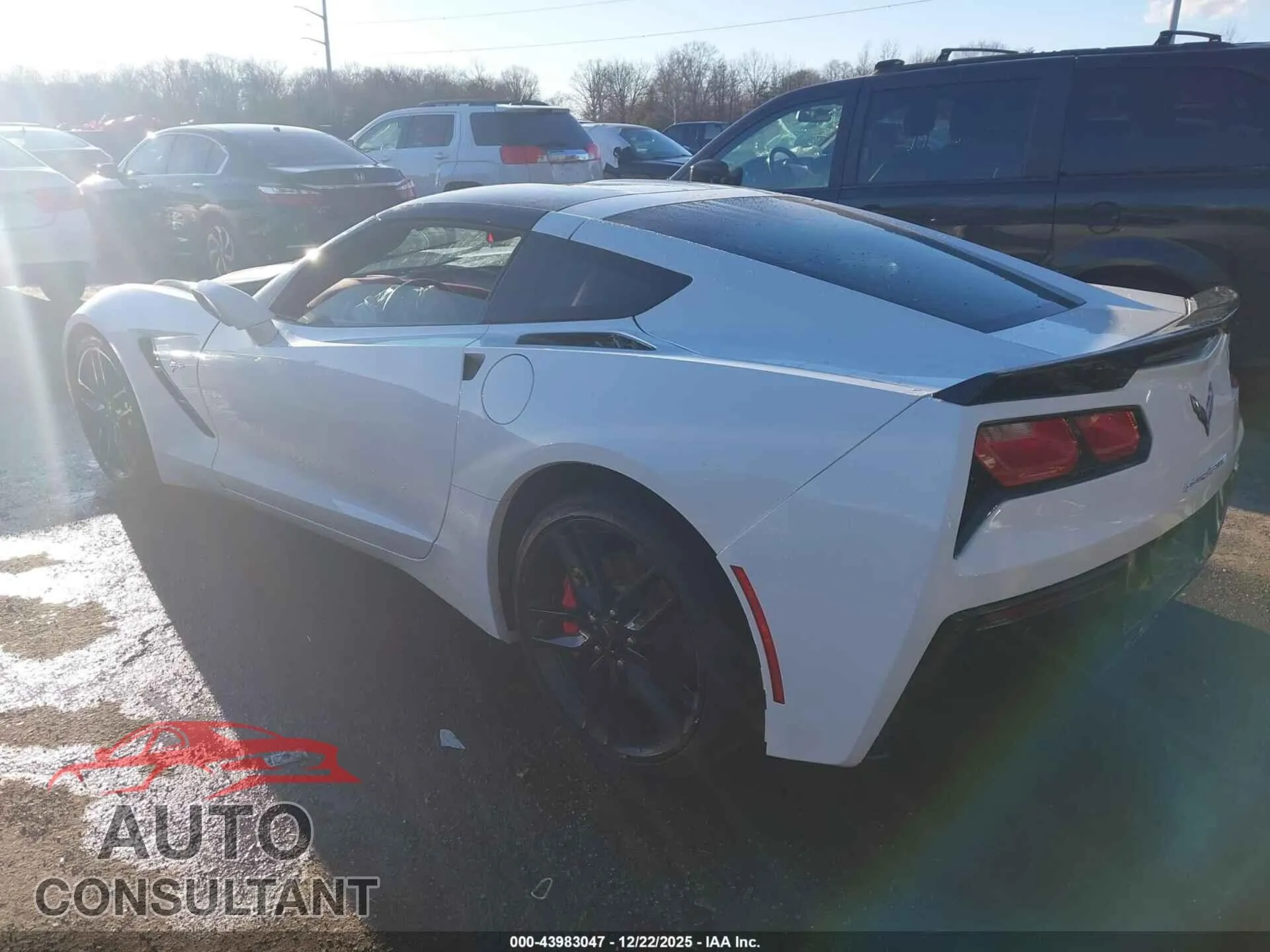 2019 CHEVROLET CORVETTE Damaged VIN 1G1YF2D79K5102691 – side profile