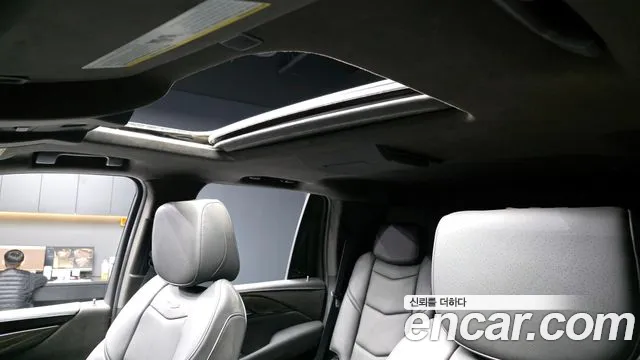 2019 Cadillac Escalade 6.2 Sold VIN 1GYS47KJ5KR351782 – exterior detail