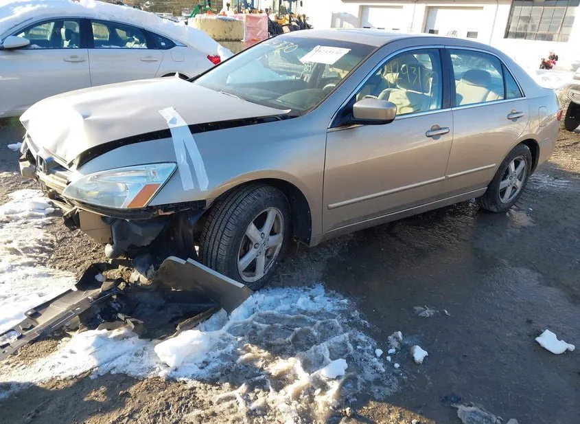 2005 HONDA Accord Used VIN 1HGCM56705A010646 – photo 11