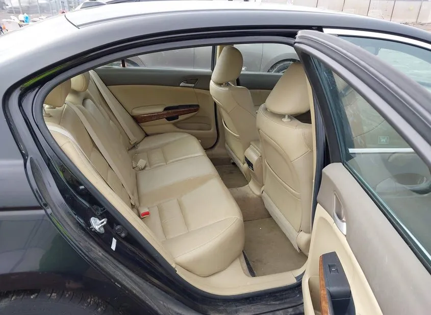 2010 HONDA Accord VIN 1HGCP2F81AA163089