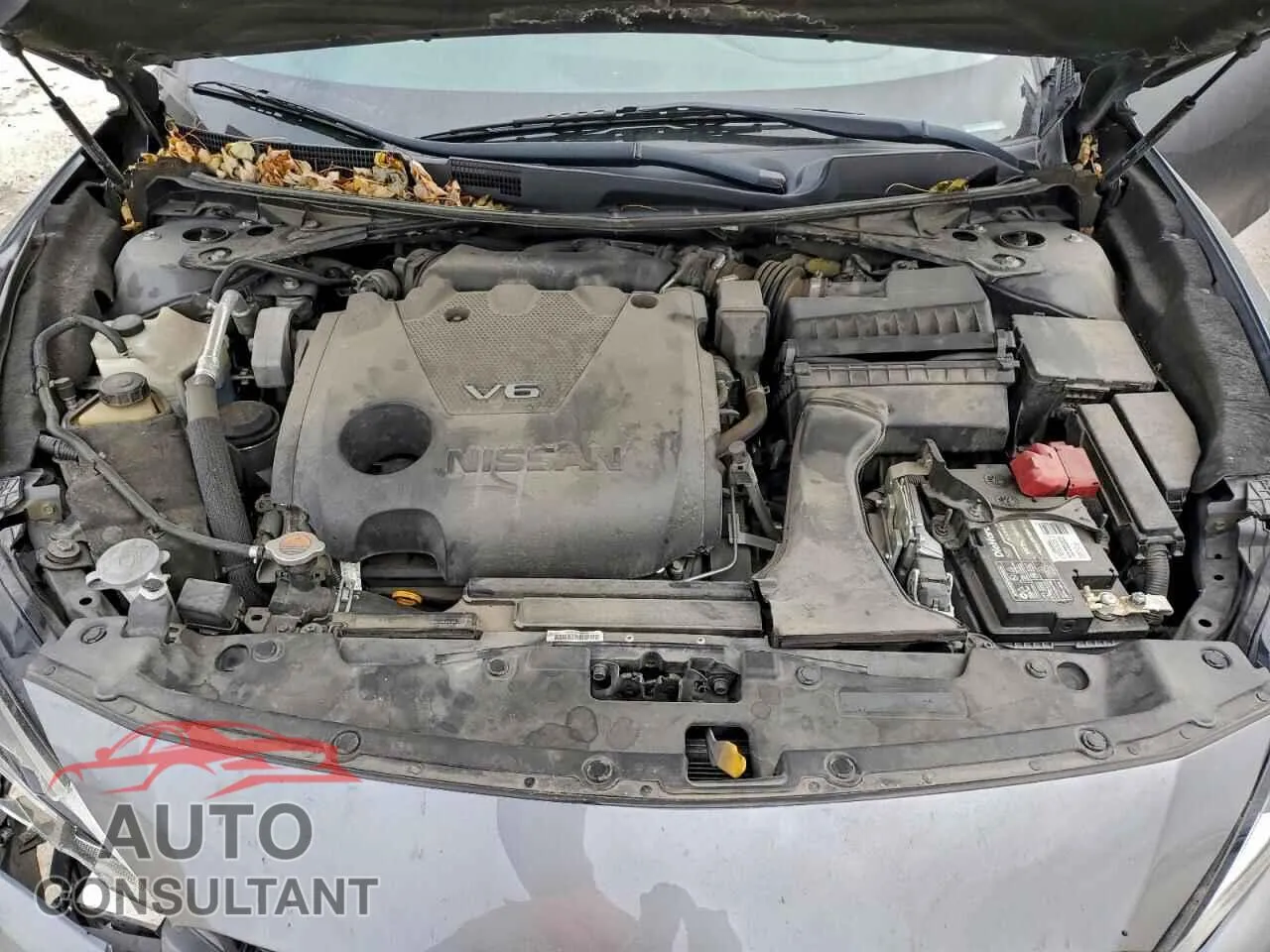 2019 NISSAN MAXIMA Damaged VIN 1N4AA6AV2KC367696 – photo 11