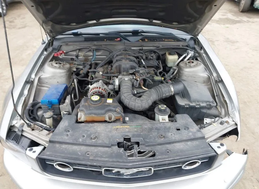 2008 FORD Mustang Used VIN 1ZVHT80N785102931 – photo 15