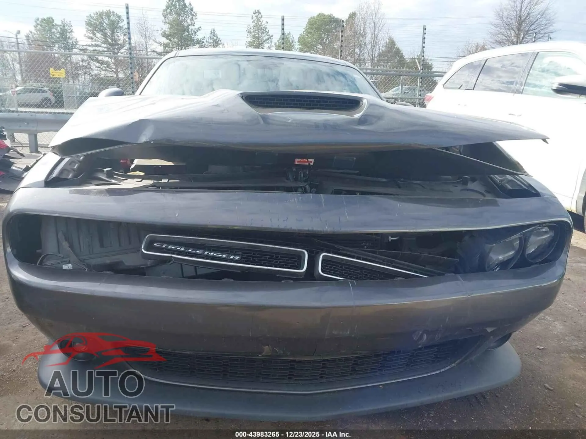 2019 DODGE CHALLENGER Damaged VIN 2C3CDZBT9KH578436 – photo 12