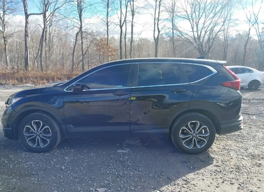 2021 HONDA CR-V Used VIN 2HKRW2H89MH679559 – side profile