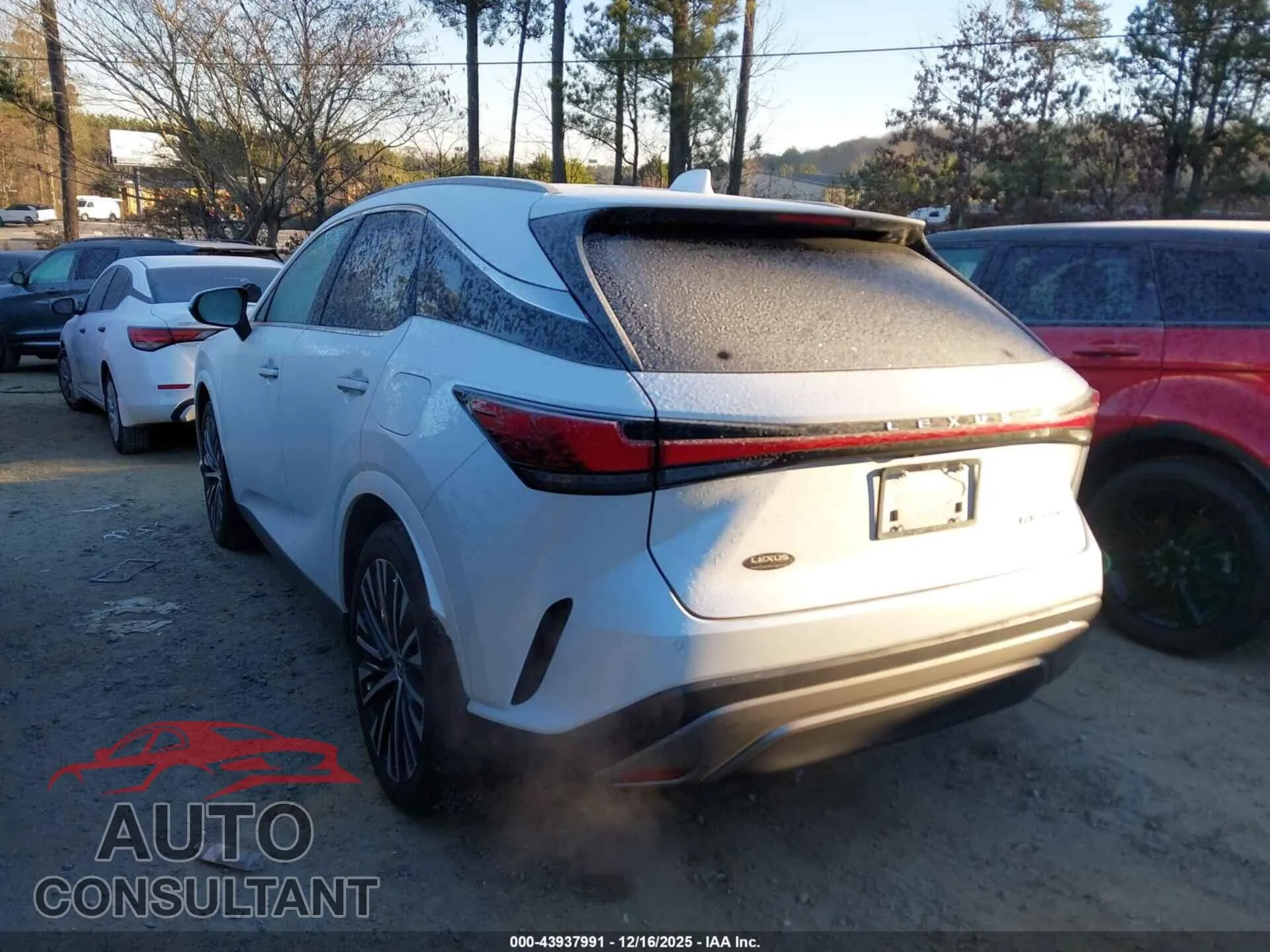2023 LEXUS RX 350 Damaged VIN 2T2BAMBA5PC016077 – side profile