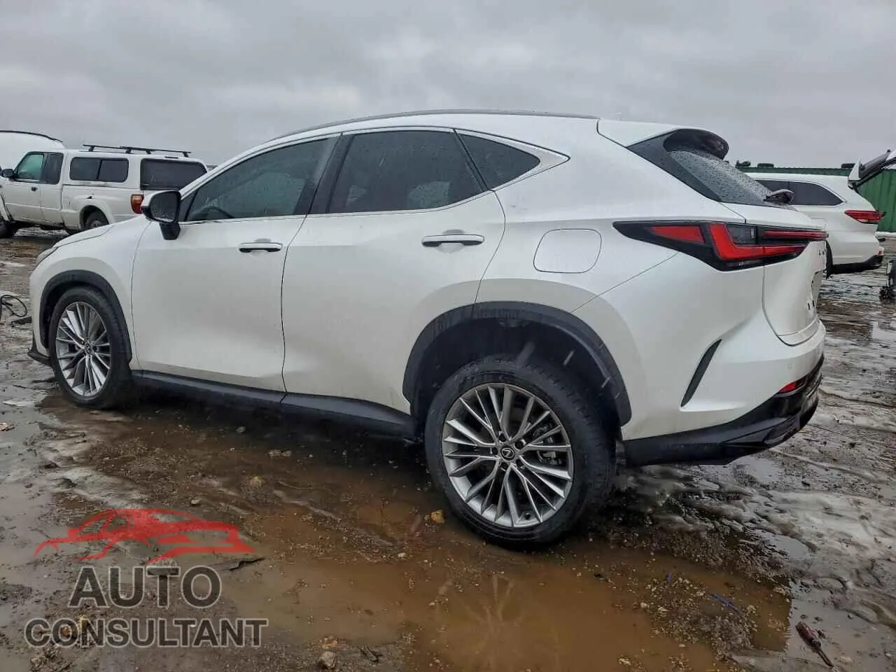 2024 LEXUS NX 350 LUX Damaged VIN 2T2HGCEZ7RC059004 – rear exterior