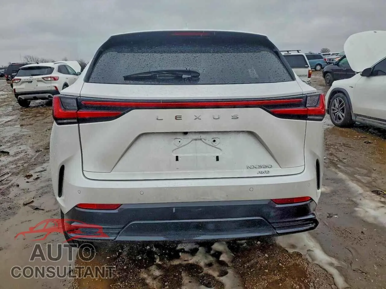 2024 LEXUS NX 350 LUX Damaged VIN 2T2HGCEZ7RC059004 – engine bay