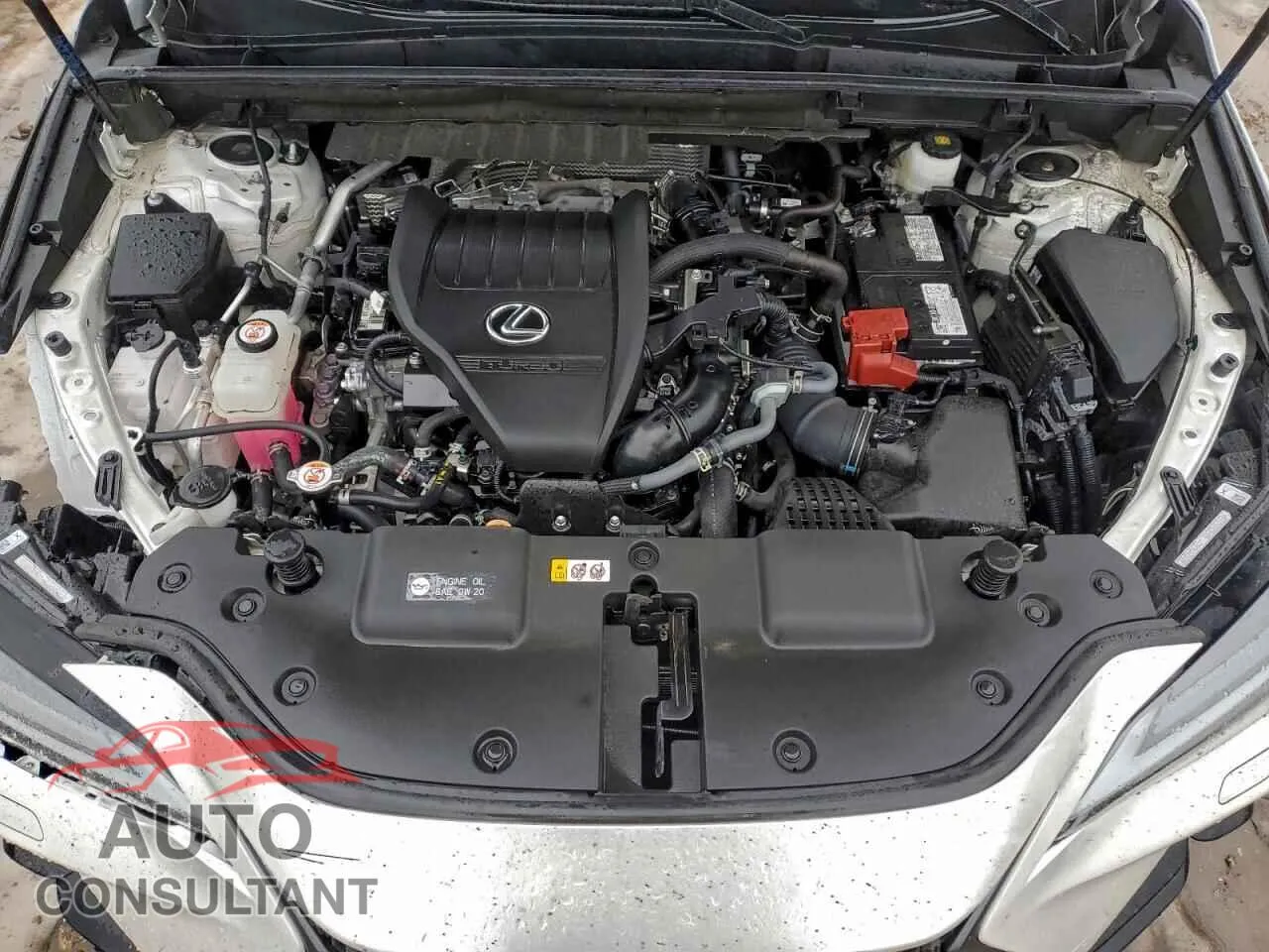 2024 LEXUS NX 350 LUX Damaged VIN 2T2HGCEZ7RC059004 – photo 11