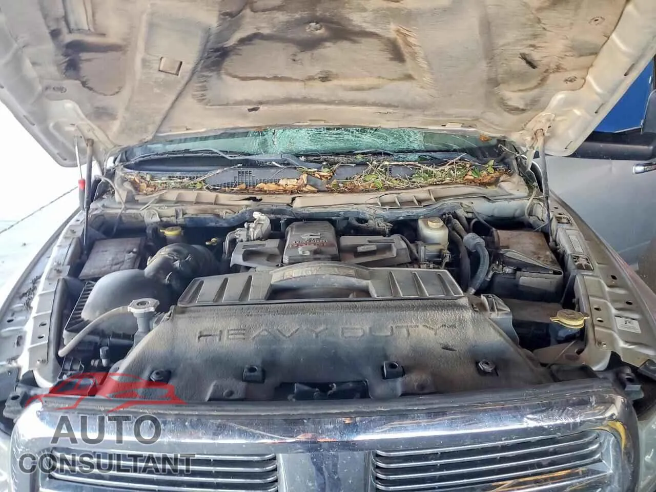 2010 DODGE All Models Damaged VIN 3D7UT2CL3AG145725 – odometer reading