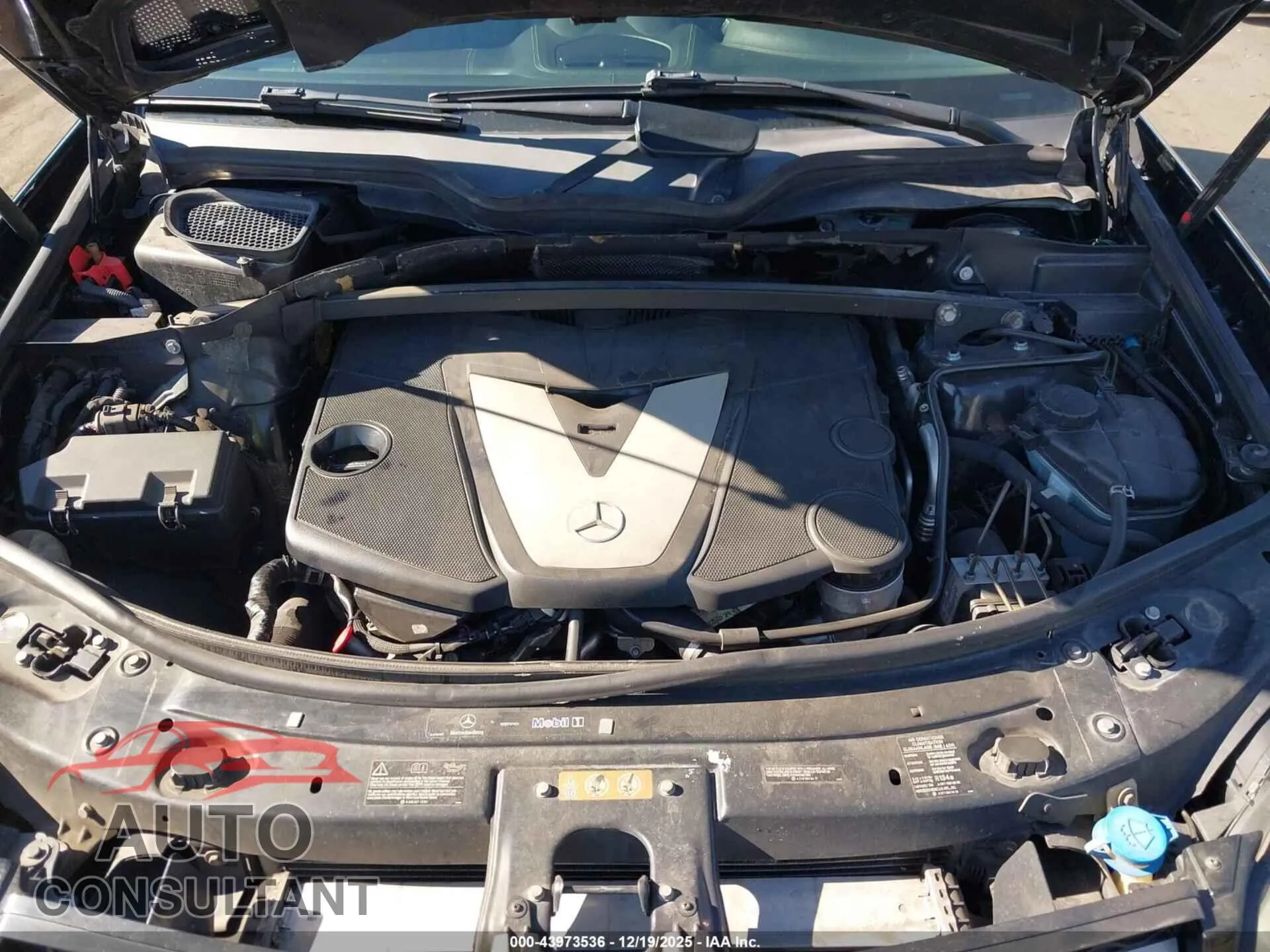 2009 MERCEDES-BENZ GL 320 BLUETEC Damaged VIN 4JGBF25E29A493447 – odometer reading