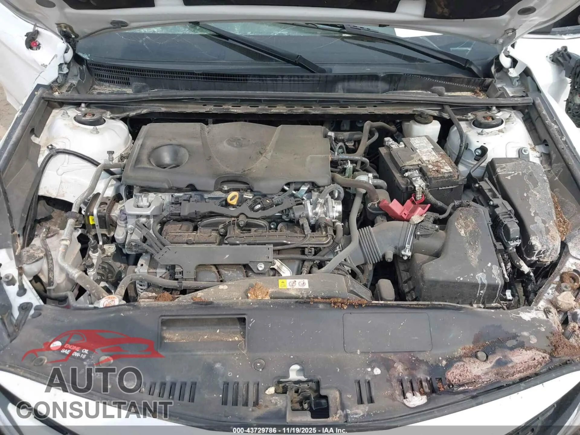 2023 TOYOTA CAMRY Damaged VIN 4T1C11AK8PU818753 – odometer reading