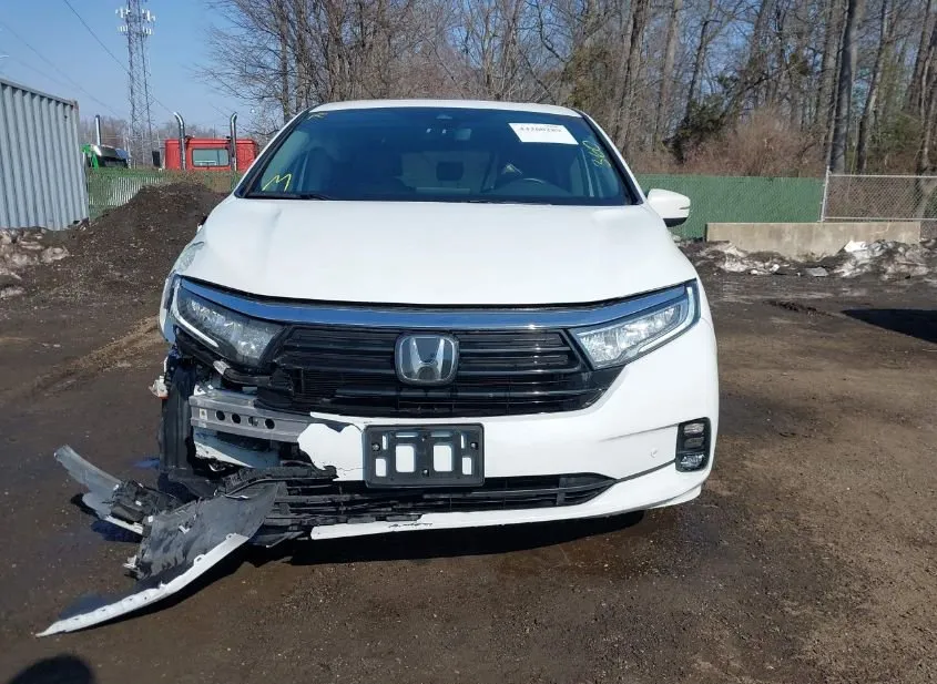 2023 HONDA Odyssey Used VIN 5FNRL6H97PB018415 – trunk area