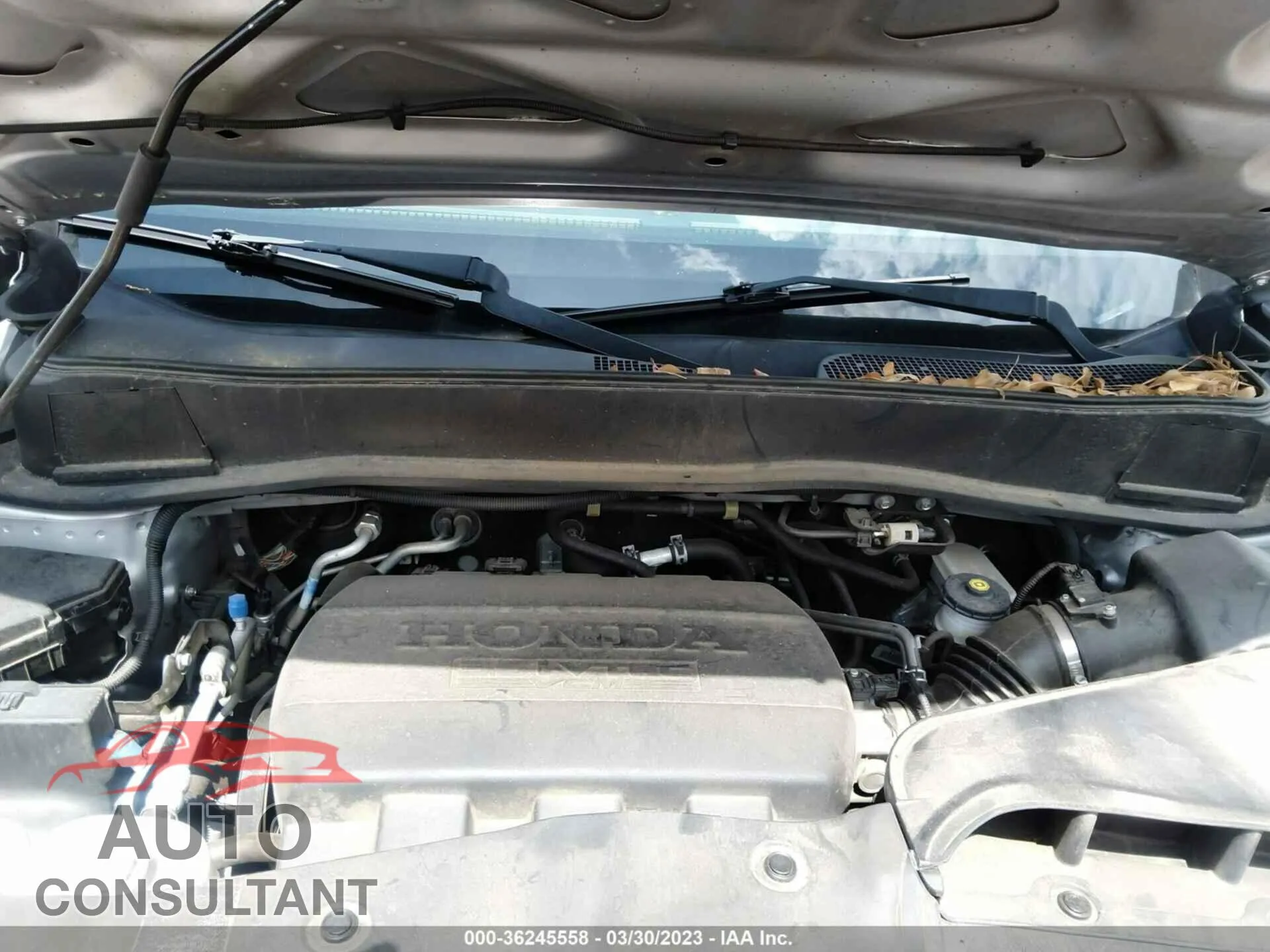 2014 HONDA PILOT Damaged VIN 5FNYF3H55EB004587 – odometer reading