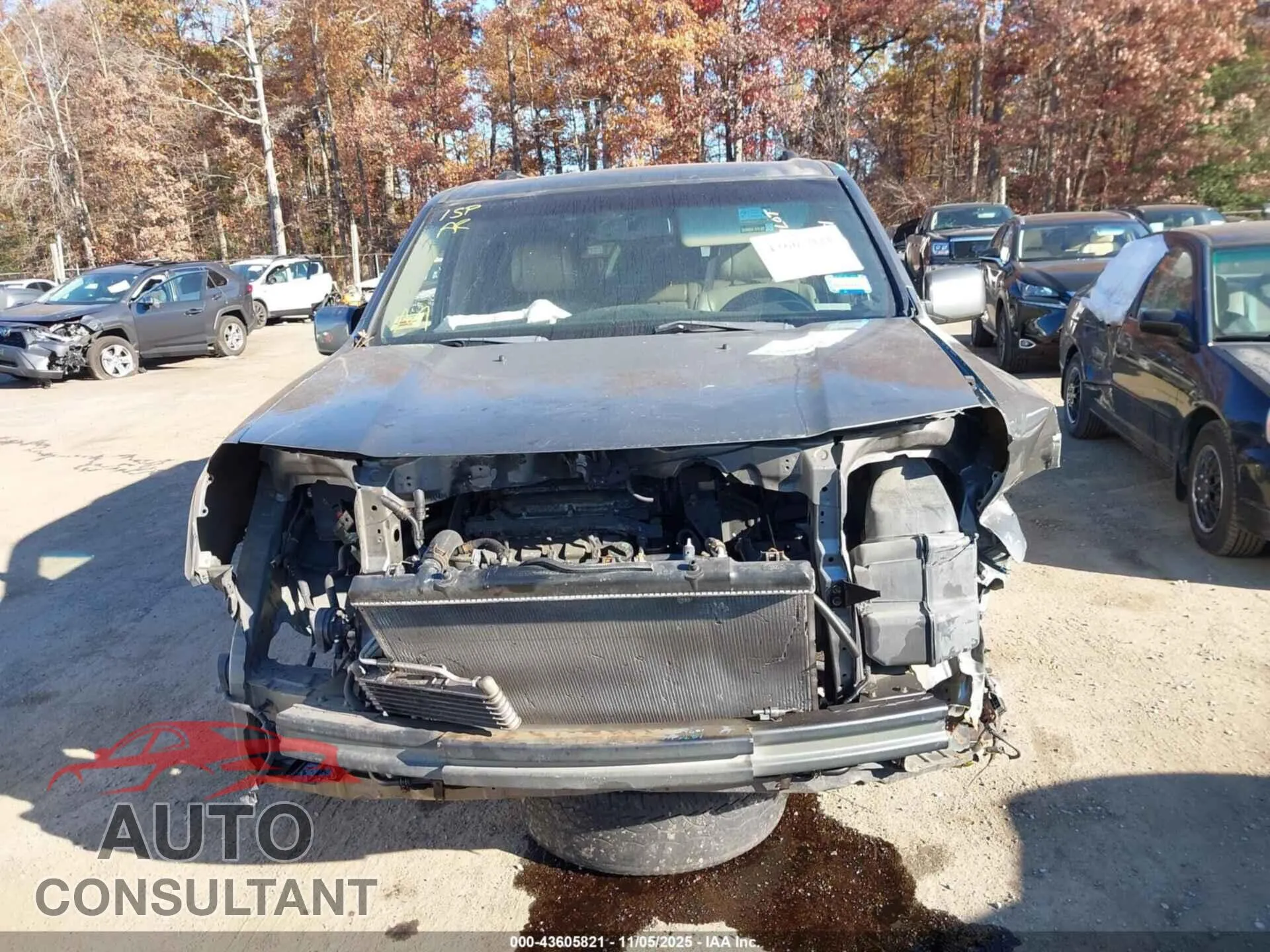 2009 HONDA PILOT Damaged VIN 5FNYF48569B000981 – photo 12