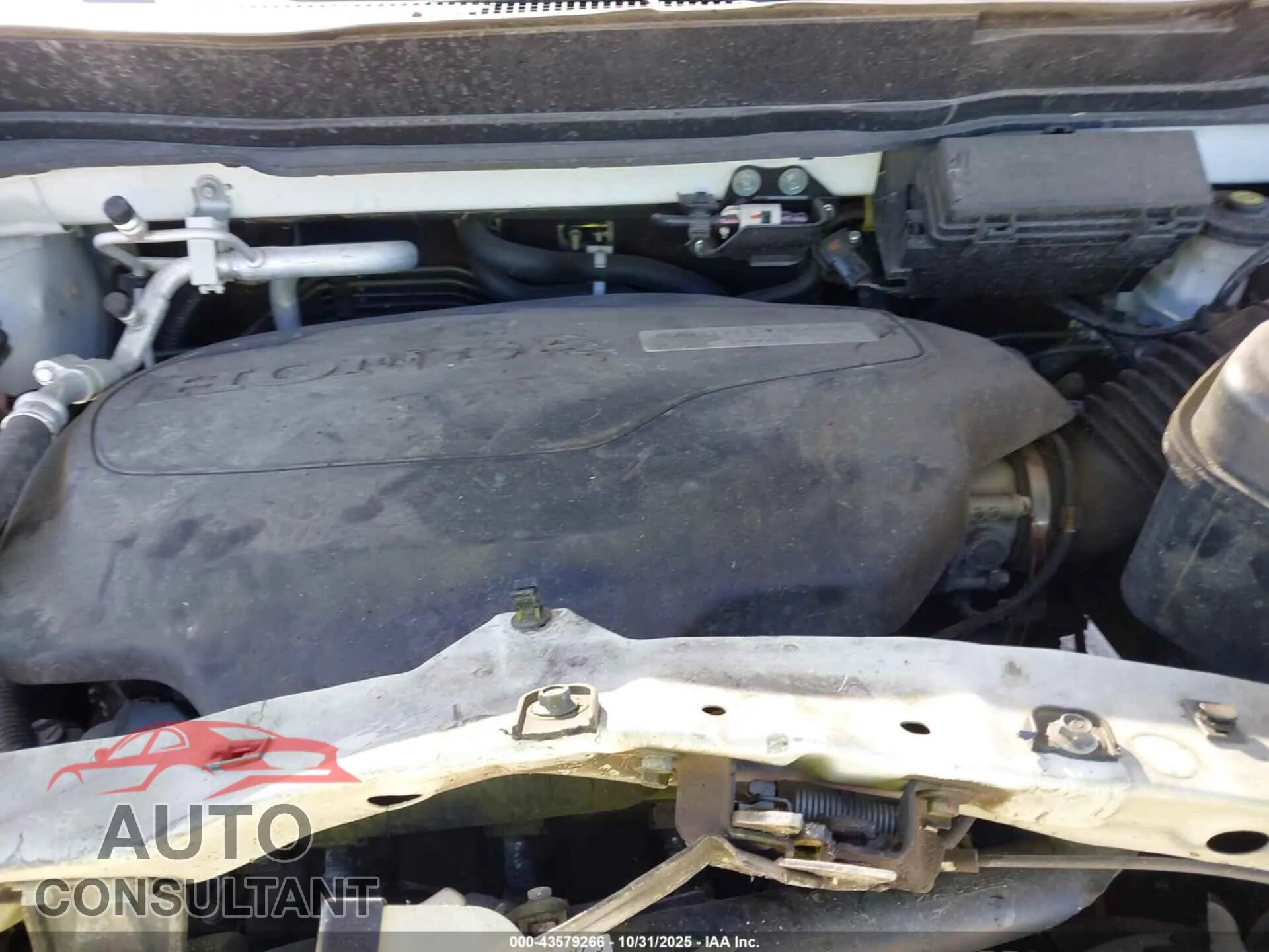 2019 HONDA PILOT Damaged VIN 5FNYF6H99KB083911 – odometer reading