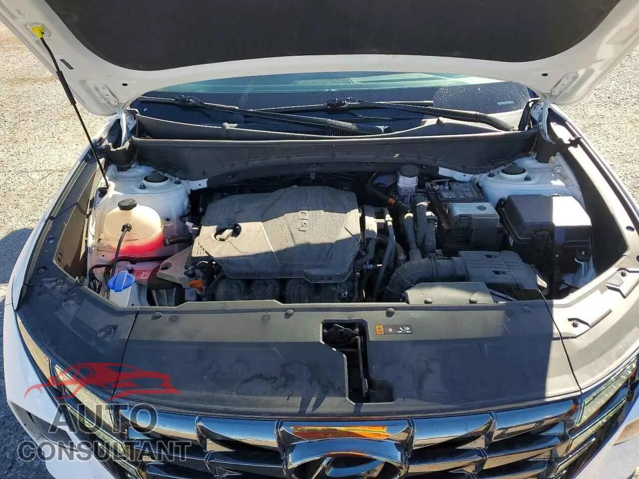 2023 HYUNDAI TUCSON Damaged VIN 5NMJECAE3PH204853 – photo 11