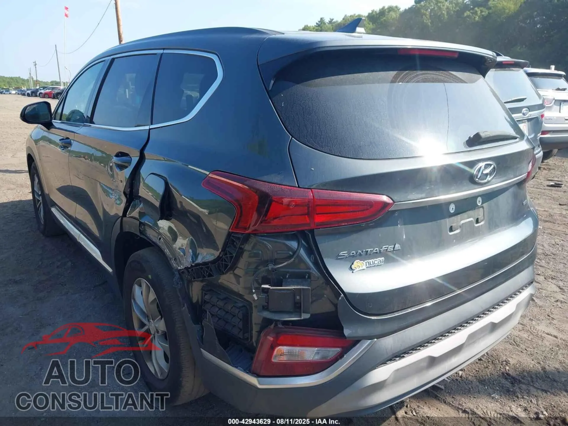 2020 HYUNDAI SANTA FE Damaged VIN 5NMS3CADXLH243872 – side profile