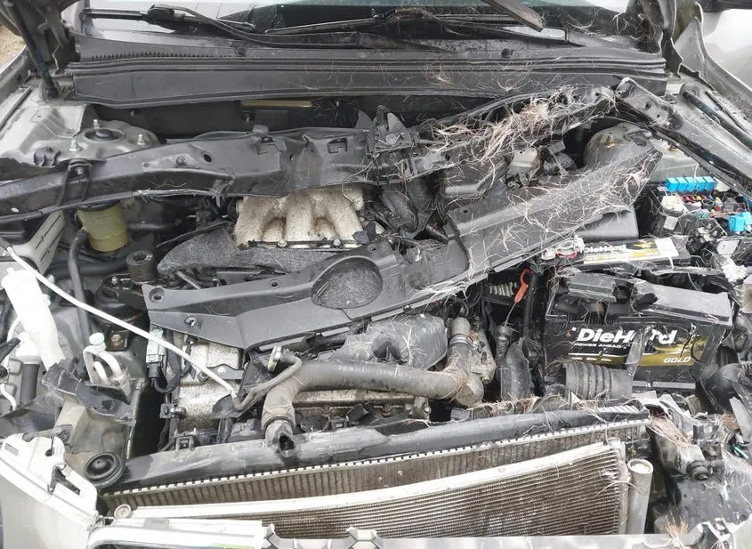 2008 HYUNDAI Santa Fe Used VIN 5NMSH13E48H144189 – photo 11