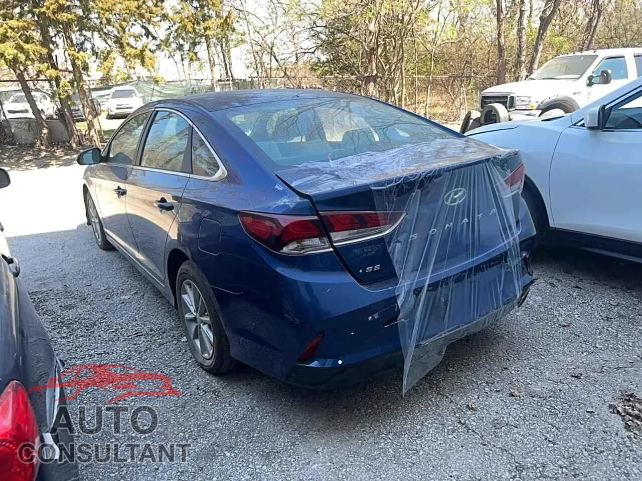 2019 HYUNDAI SONATA Used VIN 5NPE24AF6KH766220 – side profile